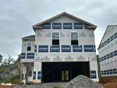 112 Golden Rod Drive Bluff City Tn 37618, Bluff City, TN 37618