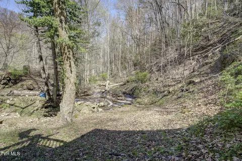 Exterior - 869 Tumbling Creek Road Erwin Tn 37650, Erwin, TN 37650 photo 17 of 23