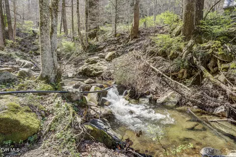 Other - 869 Tumbling Creek Road Erwin Tn 37650, Erwin, TN 37650 photo 3 of 12