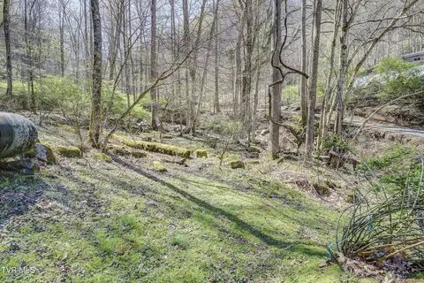 Exterior - 869 Tumbling Creek Road Erwin Tn 37650, Erwin, TN 37650 photo 13 of 23