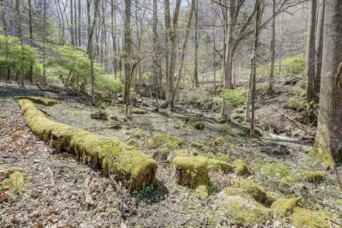 Exterior - 869 Tumbling Creek Road Erwin Tn 37650, Erwin, TN 37650 photo 14 of 23