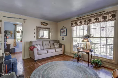 Living - 869 Tumbling Creek Road Erwin Tn 37650, Erwin, TN 37650 photo 4 of 5