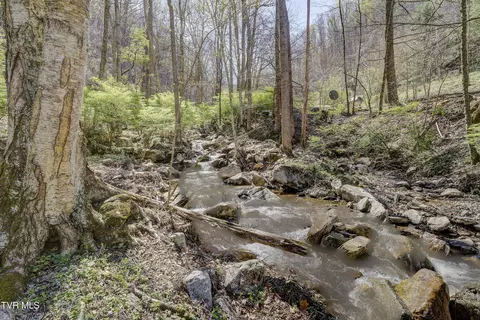 Exterior - 869 Tumbling Creek Road Erwin Tn 37650, Erwin, TN 37650 photo 15 of 23