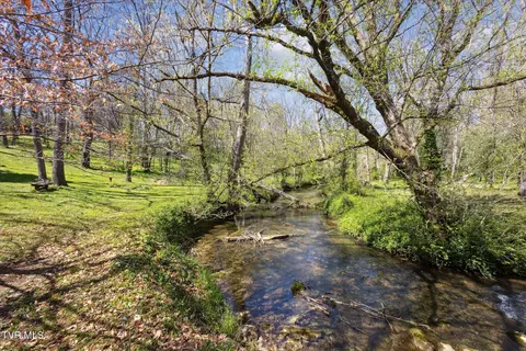 Other - 3118 Old State Route 34 Limestone Tn 37681, Limestone, TN 37681 photo 7 of 8