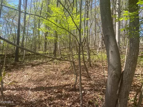 lot24 Tanasi Drive Newport Tn 37821, Newport, TN 37821