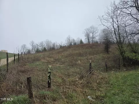 000 Walnut Mountain Road Roan Mountain Tn 37687, Roan Mountain, TN 37687