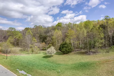 2436 Duncans Retreat Drive Johnson City Tn 37601, Johnson City, TN 37601