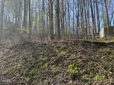 tbd Wedgewood Road Big Stone Gap Va 24219, Big Stone Gap, VA 24219