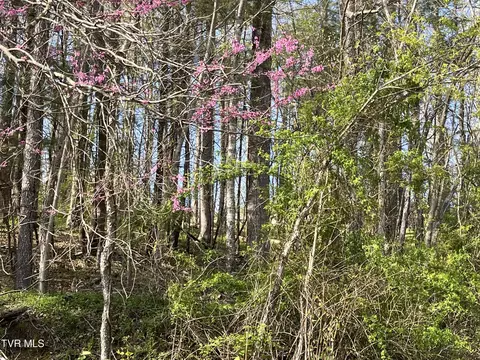 2 Lots Powell Valley Road Road Big Stone Gap Va 24219, Big Stone Gap, VA 24219