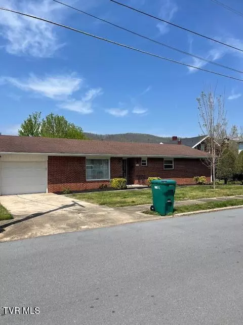 313 S Willow Avenue Erwin Tn 37650, Erwin, TN 37650