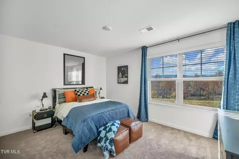312 Cookie Loop Gray Tn 37615, Gray, TN 37615 photo 24