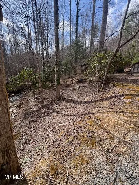 Exterior - 200 Little Bald Creek Road Erwin Tn 37650, Erwin, TN 37650 photo 5 of 5