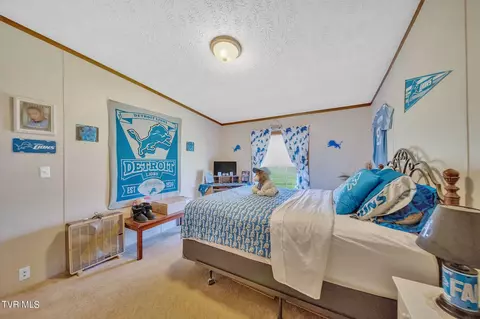 Bedroom - 460 Ebenezer Loop Chuckey Tn 37641, Chuckey, TN 37641 photo 4 of 4