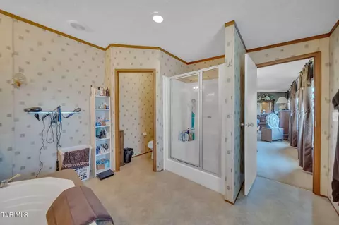 Other - 460 Ebenezer Loop Chuckey Tn 37641, Chuckey, TN 37641 photo 10 of 12