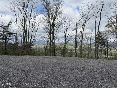 3 93 Acres Green Forest Road Cosby Tn 37722, Cosby, TN 37722