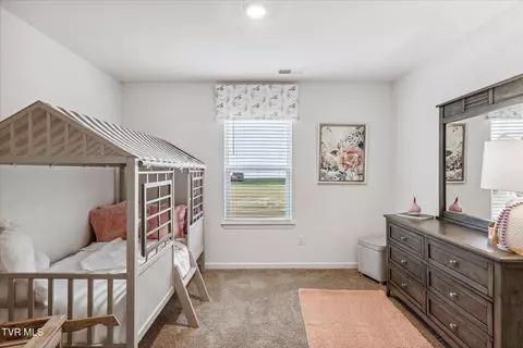 310 Cookie Loop Gray Tn 37615, Gray, TN 37615 photo 13