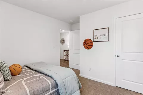 310 Cookie Loop Gray Tn 37615, Gray, TN 37615 photo 11