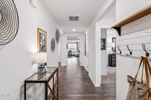 310 Cookie Loop Gray Tn 37615, Gray, TN 37615 photo 5
