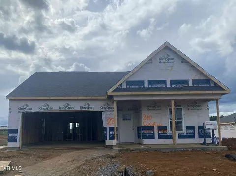 310 Cookie Loop Gray Tn 37615, Gray, TN 37615 photo 1