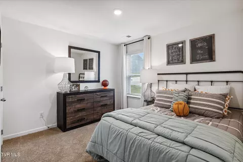 310 Cookie Loop Gray Tn 37615, Gray, TN 37615 photo 10