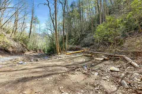 Other - 320 Ray Kegley Road Erwin Tn 37650, Erwin, TN 37650 photo 19 of 23