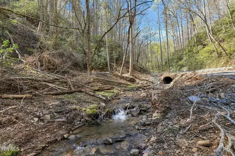 Other - 320 Ray Kegley Road Erwin Tn 37650, Erwin, TN 37650 photo 20 of 23
