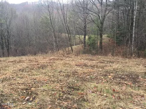 00 Heaton Branch Road Butler Tn 37640, Butler, TN 37640
