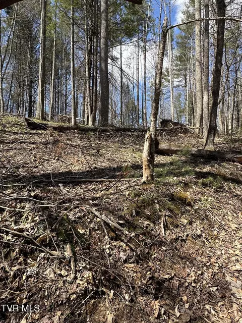400 Woodchuck Way Laurel Bloomery Tn 37680, Laurel Bloomery, TN 37680