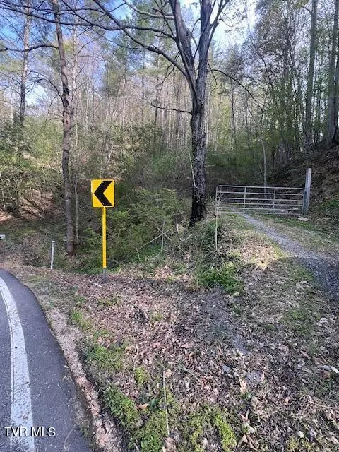 tbd Spivey Mountain Road Road Erwin Tn 37650, Erwin, TN 37650
