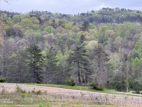 128 Elbow City Road Rogersville Tn 37857, Rogersville, TN 37857