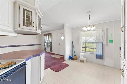 9135 Old Stage Road Limestone Tn 37681, Limestone, TN 37681 photo 14