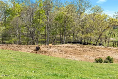 9135 Old Stage Road Limestone Tn 37681, Limestone, TN 37681 photo 4