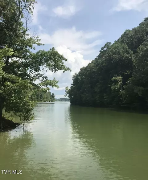 0 Weeping Willow Way Newport Tn 37821, Newport, TN 37821