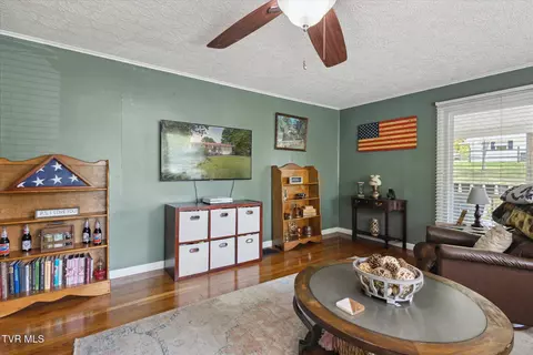 330 Lovelace Mountain View Loop Fall Branch Tn 37656, Fall Branch, TN 37656 photo 7