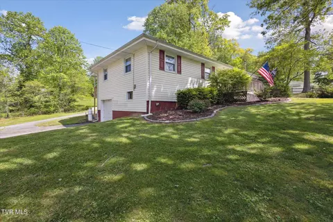 330 Lovelace Mountain View Loop Fall Branch Tn 37656, Fall Branch, TN 37656 photo 3