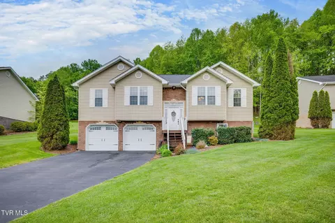 113 Millard Lane Blountville Tn 37617, Blountville, TN 37617