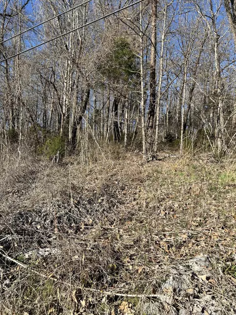 tbd Powder Branch Road Johnson City Tn 37601, Johnson City, TN 37601