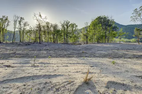 Other - 701 Bailey Lane Erwin Tn 37650, Erwin, TN 37650 photo 13 of 22
