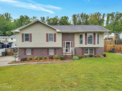 222 Grandview Street Mount Carmel Tn 37645, Mount Carmel, TN 37645
