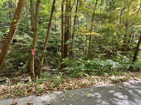 1875 Dyer Hollow Road Mohawk Tn 37810, Mohawk, TN 37810