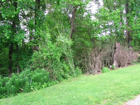 tbd Redwood Drive Elizabethton Tn 37643, Elizabethton, TN 37643