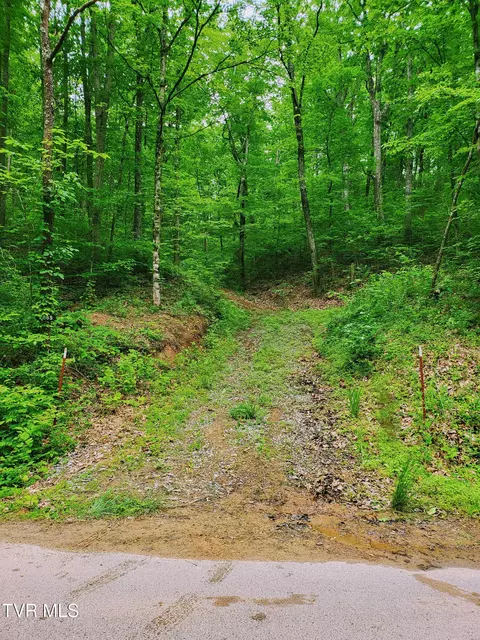 2065 Dyer Hollow Road Mohawk Tn 37810, Mohawk, TN 37810