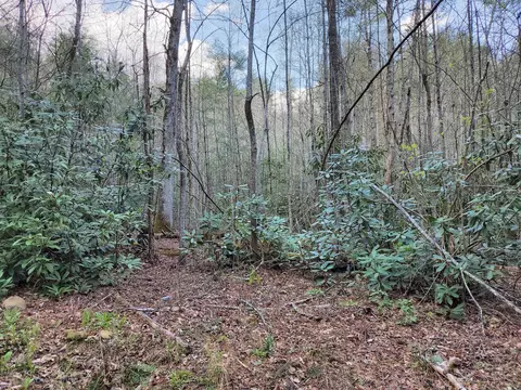 00 Hill Street Butler Tn 37640, Butler, TN 37640