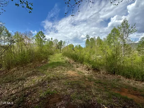 19 Ac Tbd Edith Gouge Rd Unicoi Tn 37692, Unicoi, TN 37692