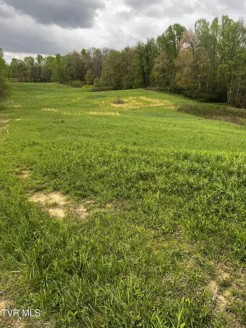 lot3 Walnut Mountain Road Laurel Fork Tn 37687, Laurel Fork, TN 37687
