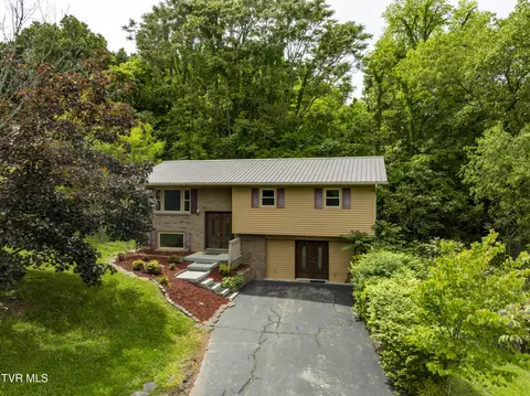 266 Pine Laurel Circle Bluff City Tn 37618, Bluff City, TN 37618