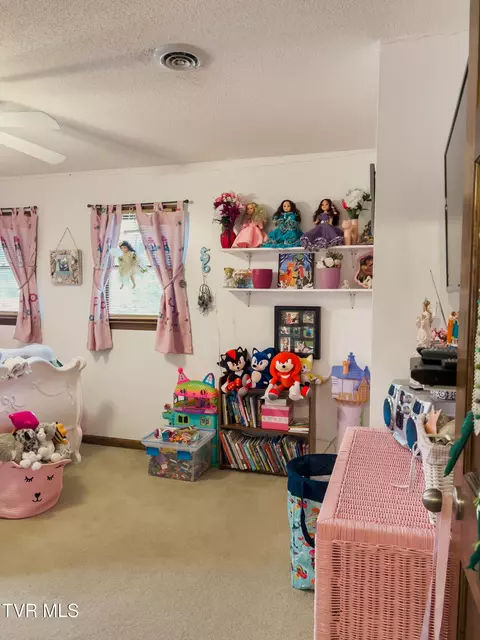 519 Foxgate Drive Erwin Tn 37650, Erwin, TN 37650 photo 34