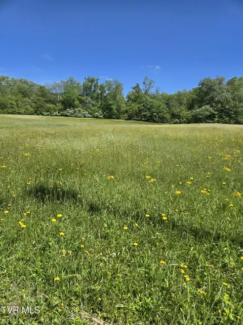 tbd Unaka View Drive Erwin Tn 37650, Erwin, TN 37650