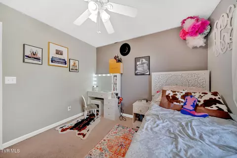 61 E Ridges Drive Chuckey Tn 37641, Chuckey, TN 37641 photo 16