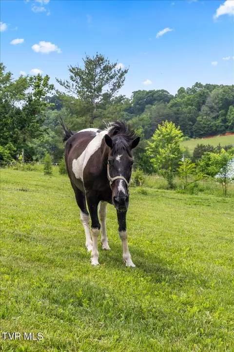 Other - 71 Thistle Cove Greeneville Tn 37745, Greeneville, TN 37745 photo 26 of 30